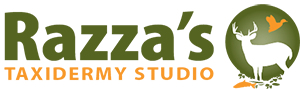 Razza's Taxidermy Studio