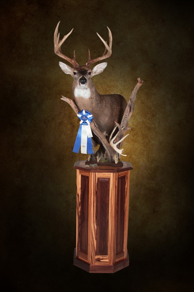 Whitetail Pedestal Mount by Razza's Taxidermy Studio 